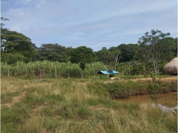 place photo 39