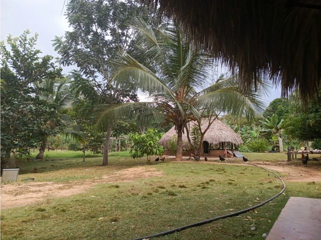 place photo 41