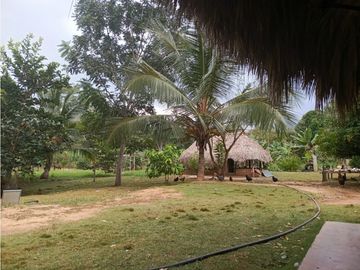 place photo 41
