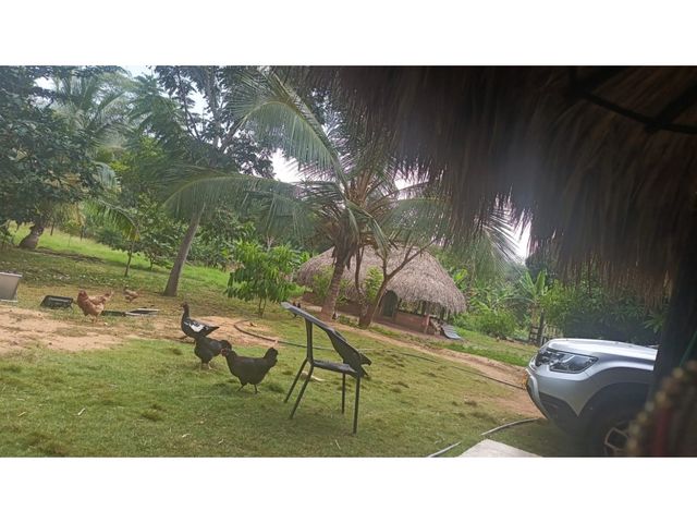 place photo 40