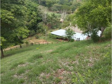 place photo 43