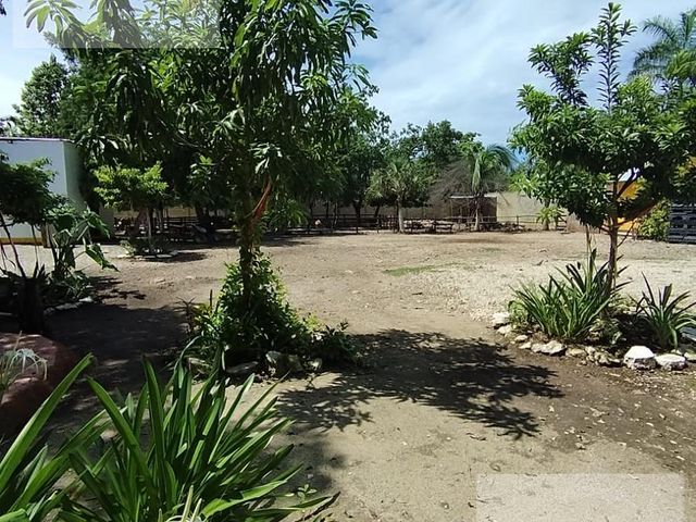 place photo 14