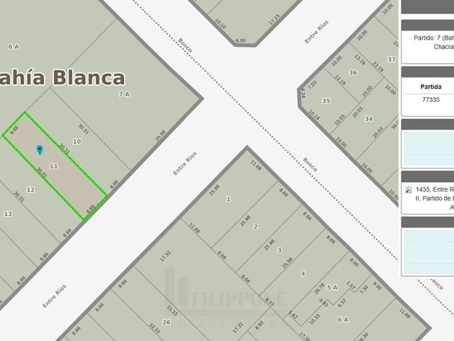 place photo 20