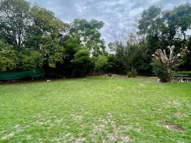 place photo 22