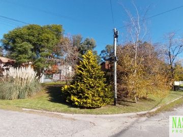 place photo 50