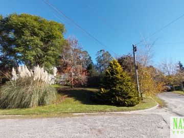 place photo 51
