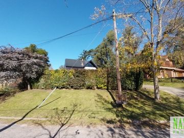 place photo 48
