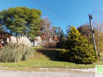 place photo 47