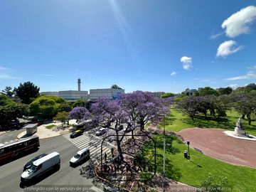 place photo 48