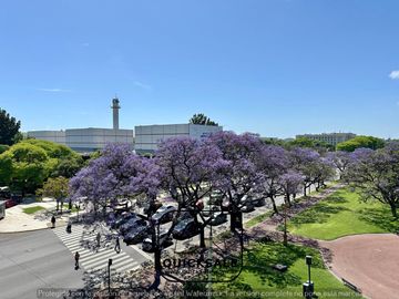 place photo 43