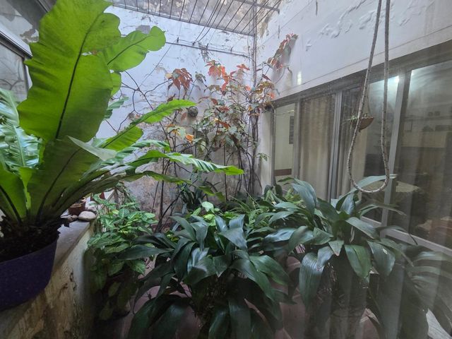 place photo 29