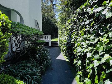place photo 32