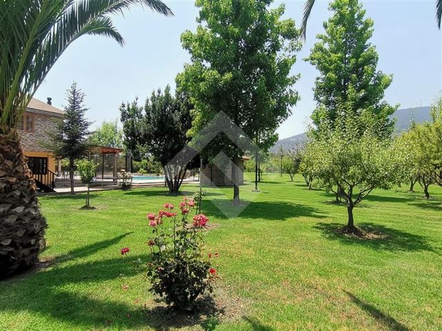 place photo 22