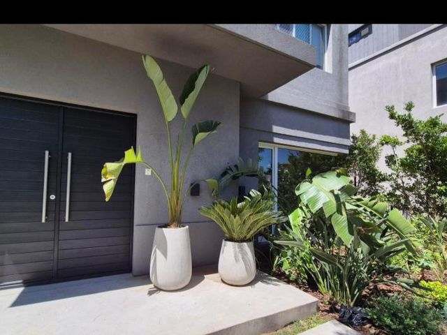 place photo 42