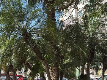 place photo 39