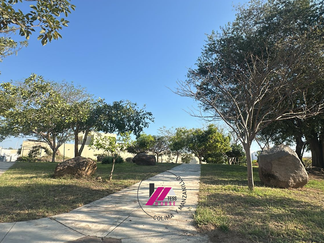 place photo 10