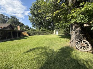 place photo 59
