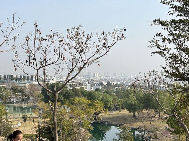 place photo 25