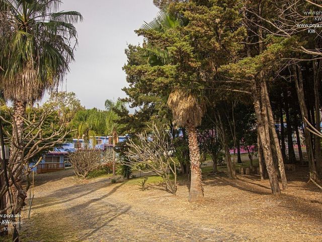 place photo 27
