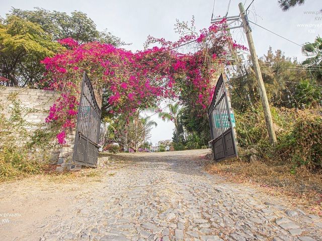 place photo 34
