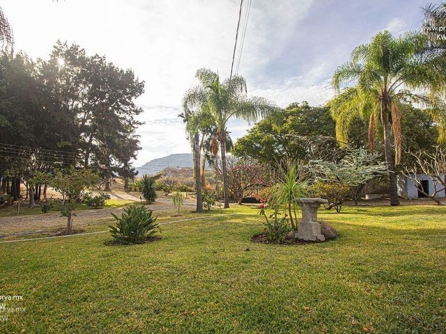 place photo 28