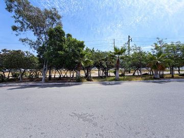 place photo 40
