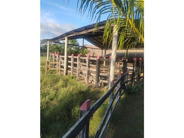 place photo 25