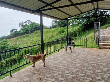 place photo 25