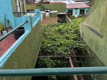 place photo 40