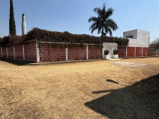 place photo 24