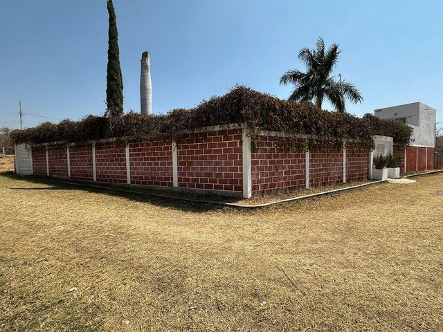 place photo 36