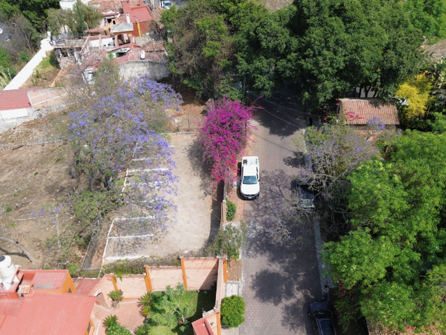 place photo 47