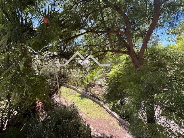 place photo 26