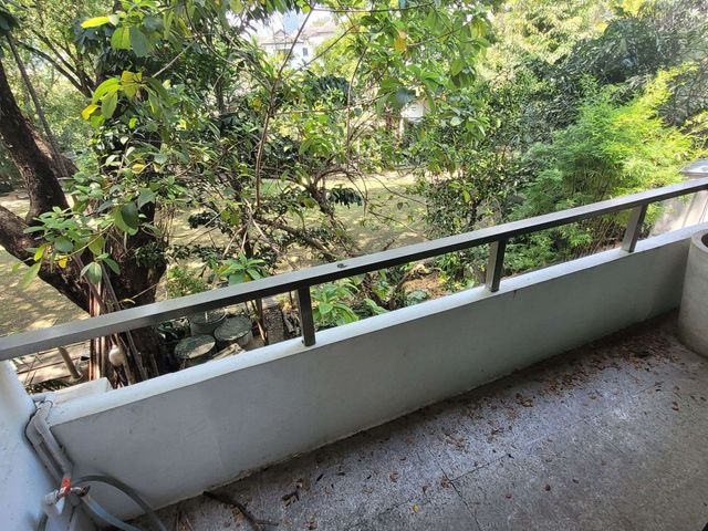 place photo 51
