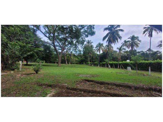 place photo 25