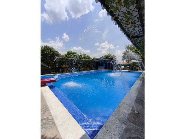 place photo 46