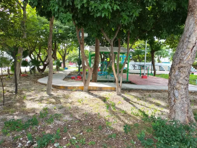place photo 11