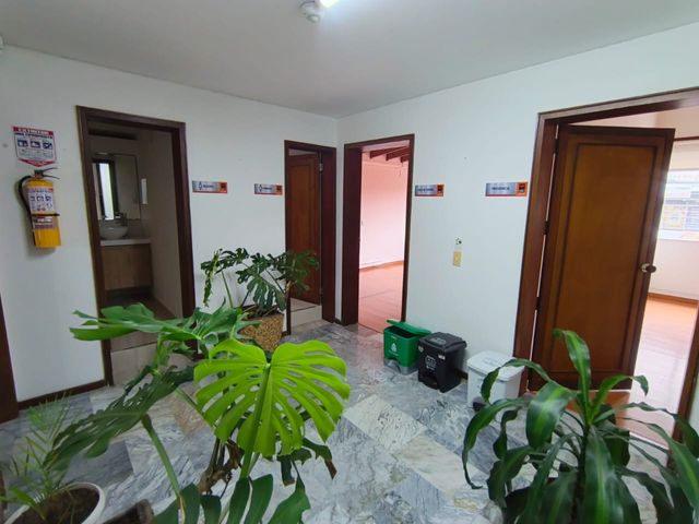 place photo 39