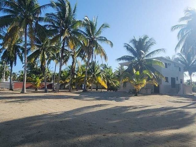 place photo 11