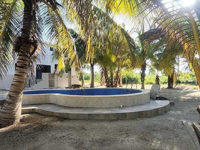 place photo 16