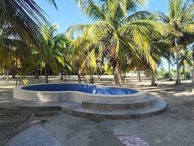 place photo 18