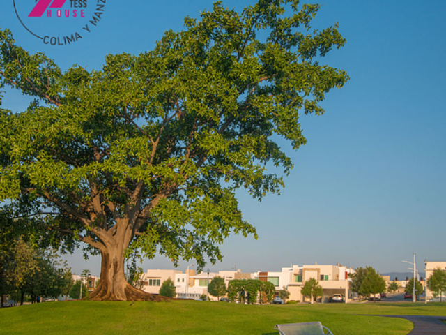 place photo 26