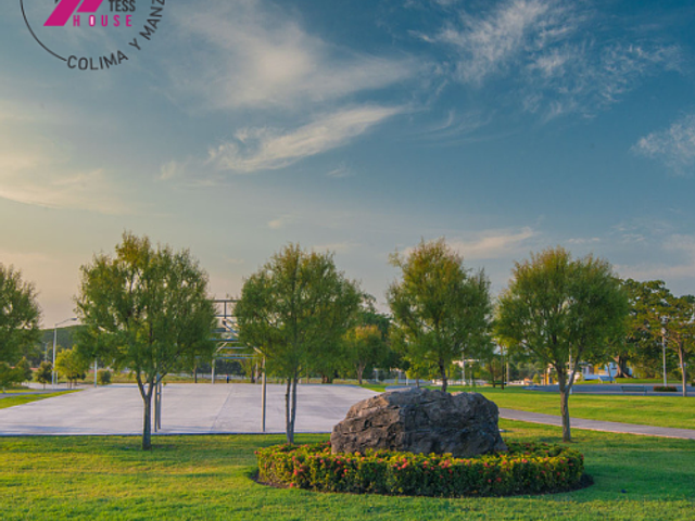 place photo 28