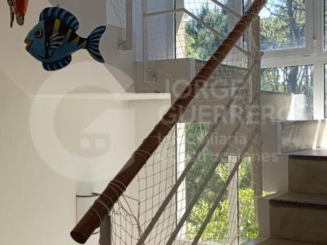 place photo 42