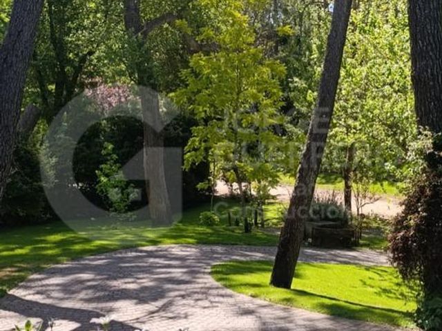 place photo 52