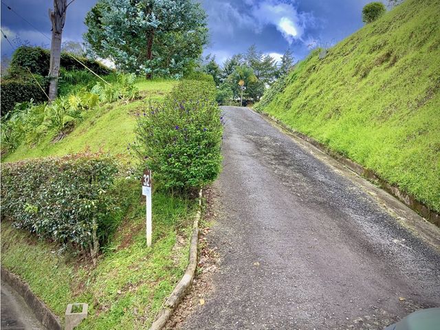 place photo 62