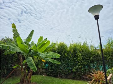 place photo 46