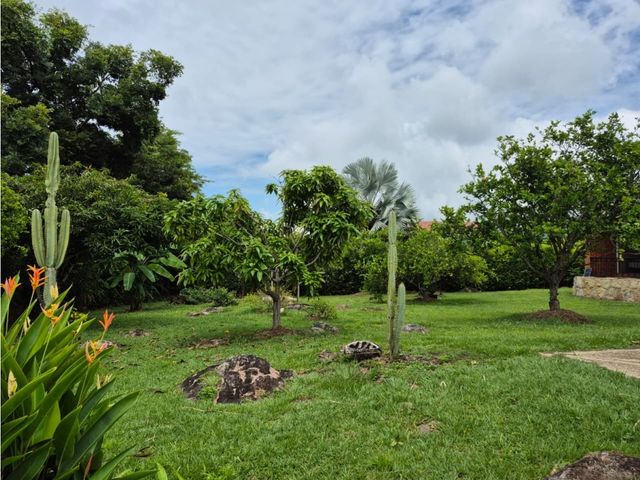 place photo 48