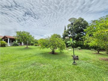 place photo 53