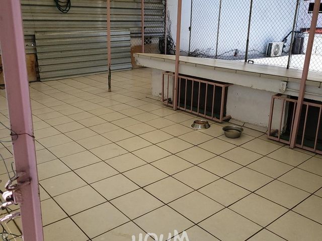place photo 24